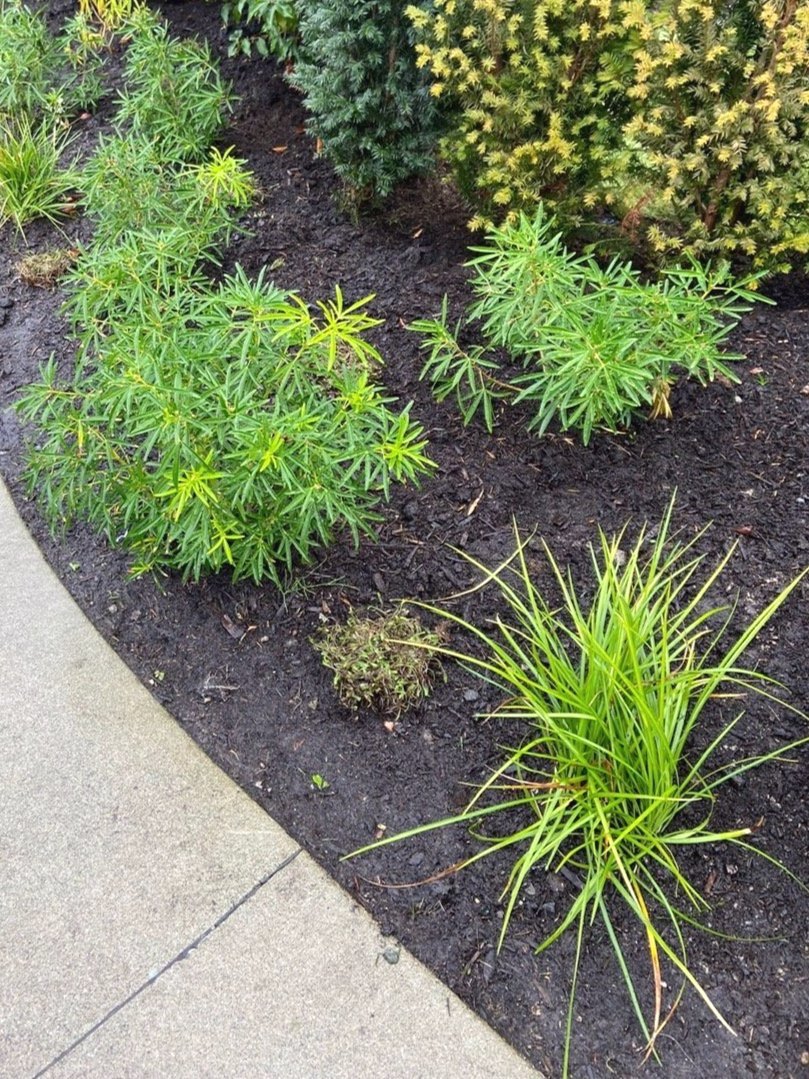 Vancouver landscapers Vancouver landscaping