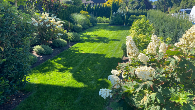 Landscaping Vancouver Landscaping Burnaby Landscaping new West landsacping west vancouver