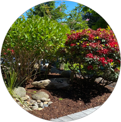commercial landscaping Vancouver commercial landscapers Vancouver landscape maintenance Vancouver lawn care Vancouver