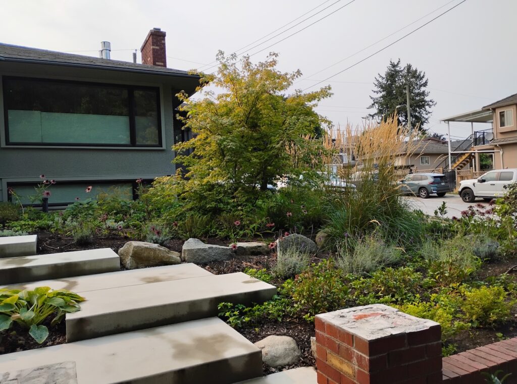 Get a Healthy Spring Garden in West Vancouver by Planting in Fall Vancouver landscapers Vancouver landscaping green landscaping Vancouver