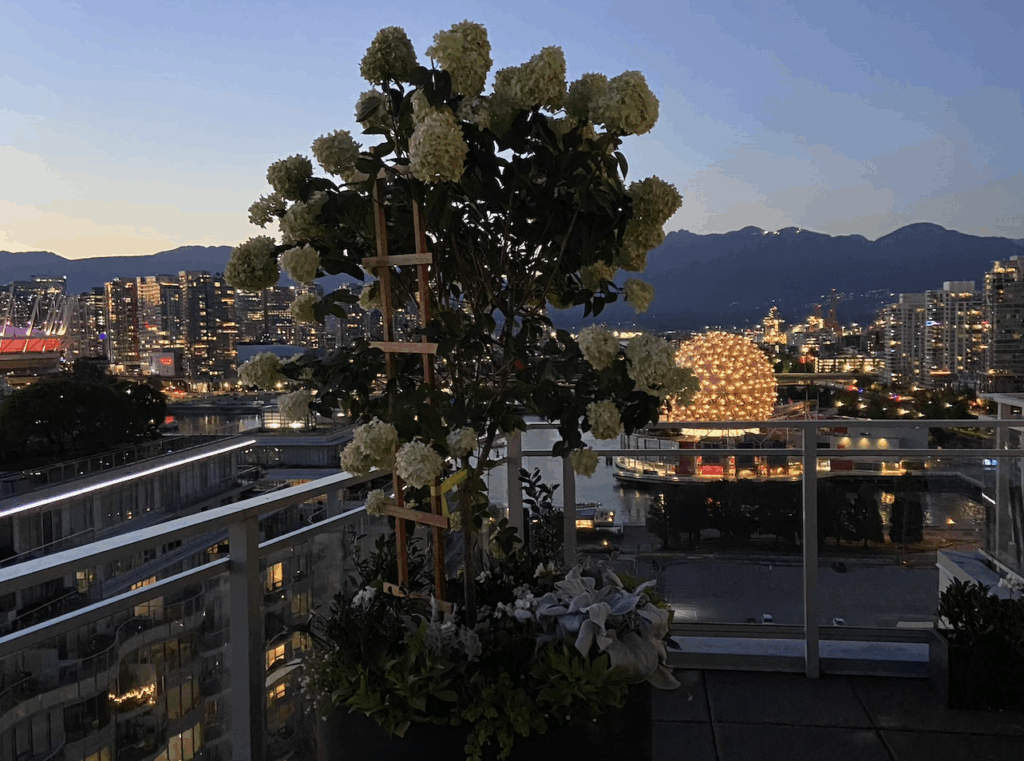 landscaping Vancouver landscapers Vancouver landscape design Burnaby landscaping West Vancouver