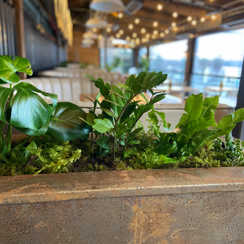 restaurant greenscaping Vancouver