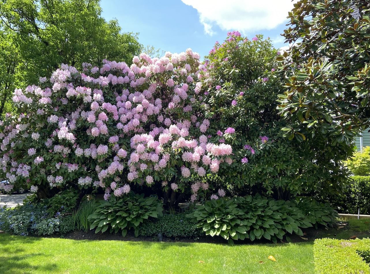 landscaping Vancouver Best Vancouver landscapers landscaping Vancouver landscaping West Vancouver landacaping companies Vancouver