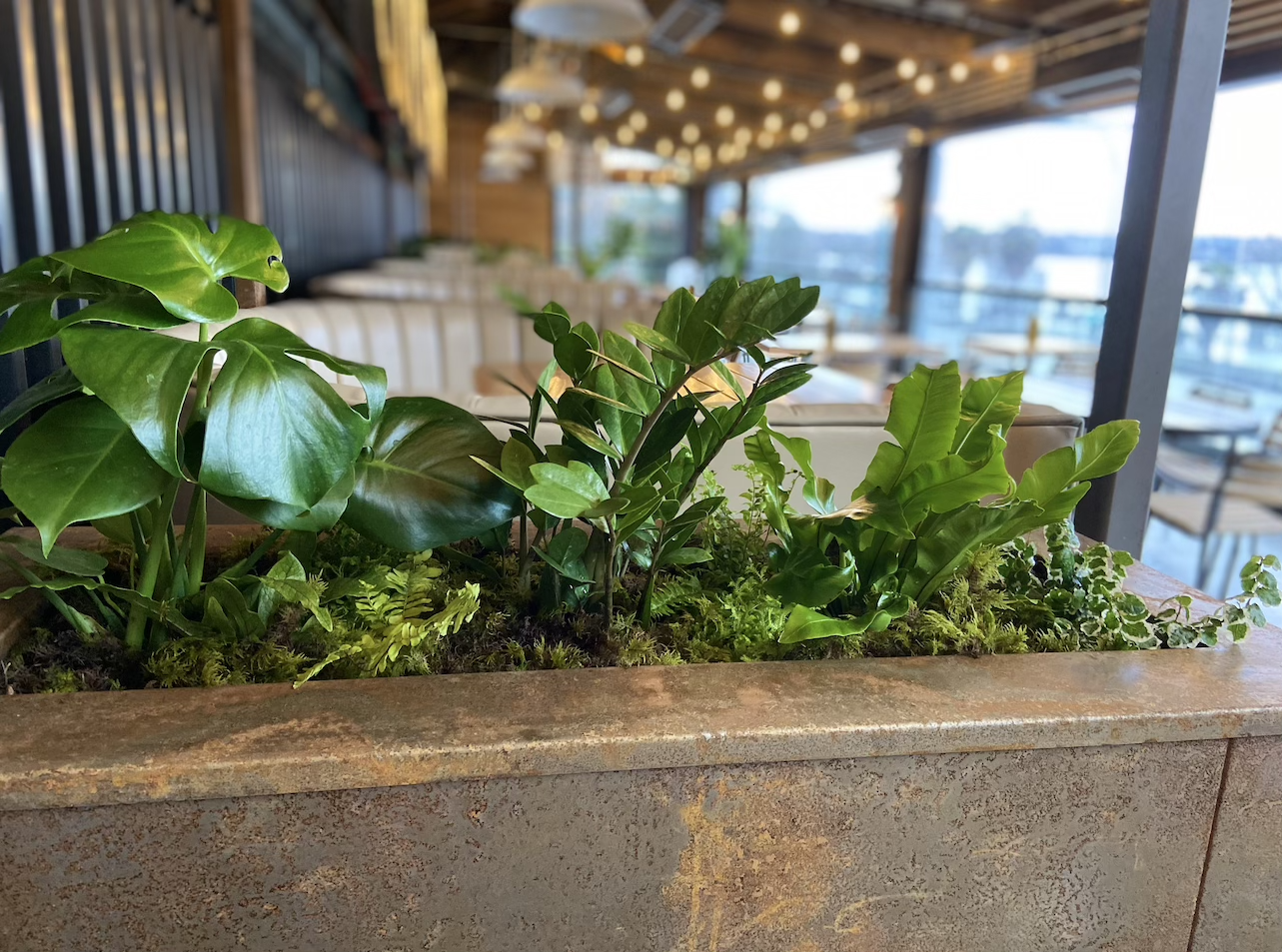 commercial landscaping Vancouver Vancouver landscapers