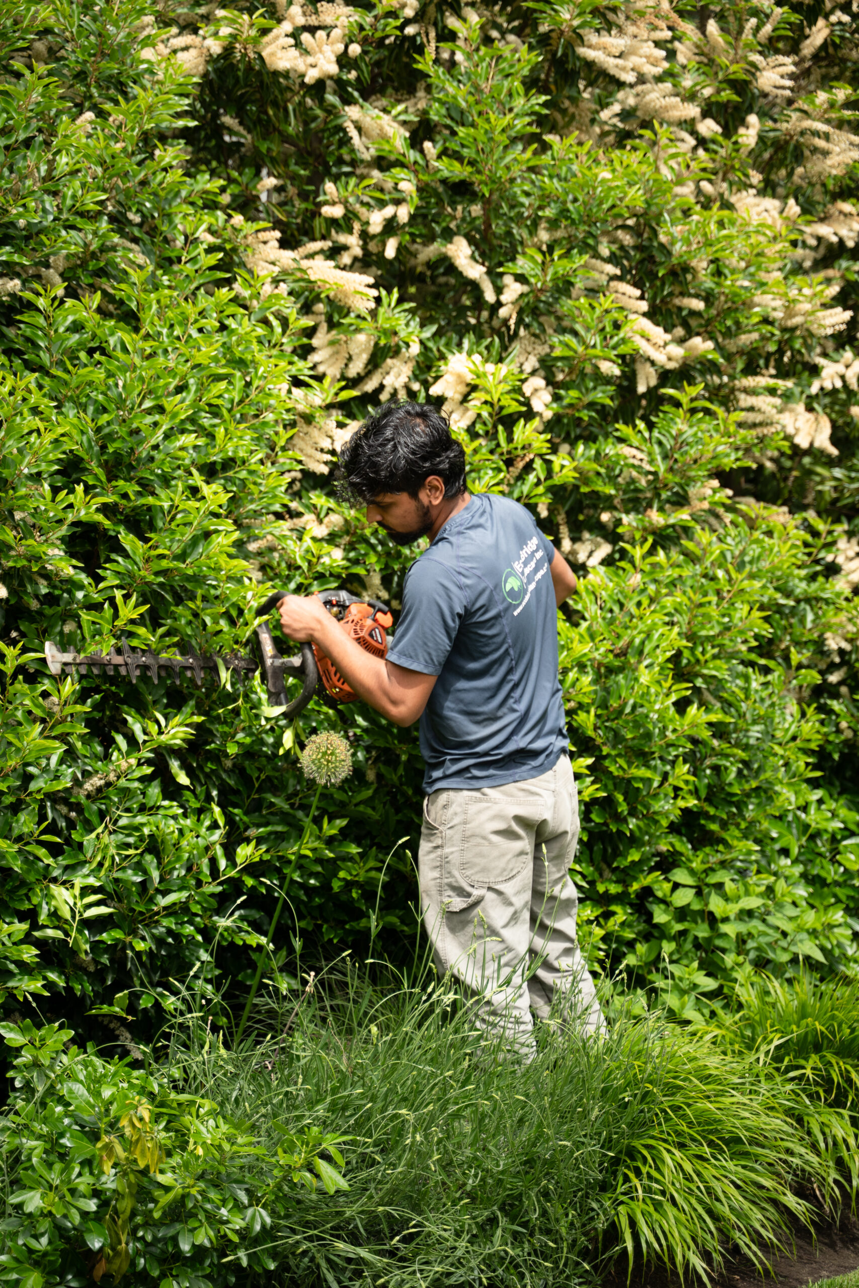 landscaping vancouver