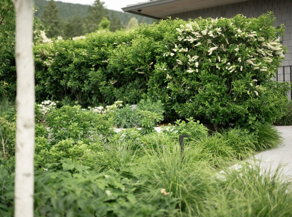 Landscaping in West Vancouver Landscaping in Vancouver