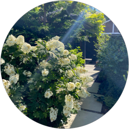 Buranby landscapers Burnaby landscaping Burnaby landscaping service