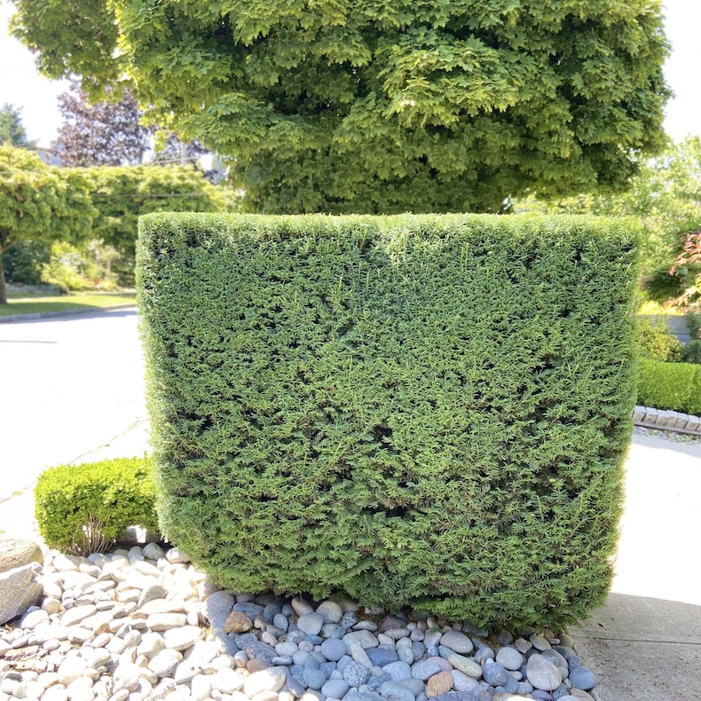 Commercial landscaping Vancouver commercial landscapers