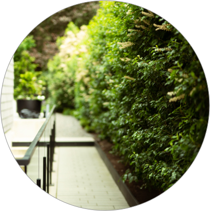 Landscapers North Vancouver Landscaping North Vancouver Landscaping Service