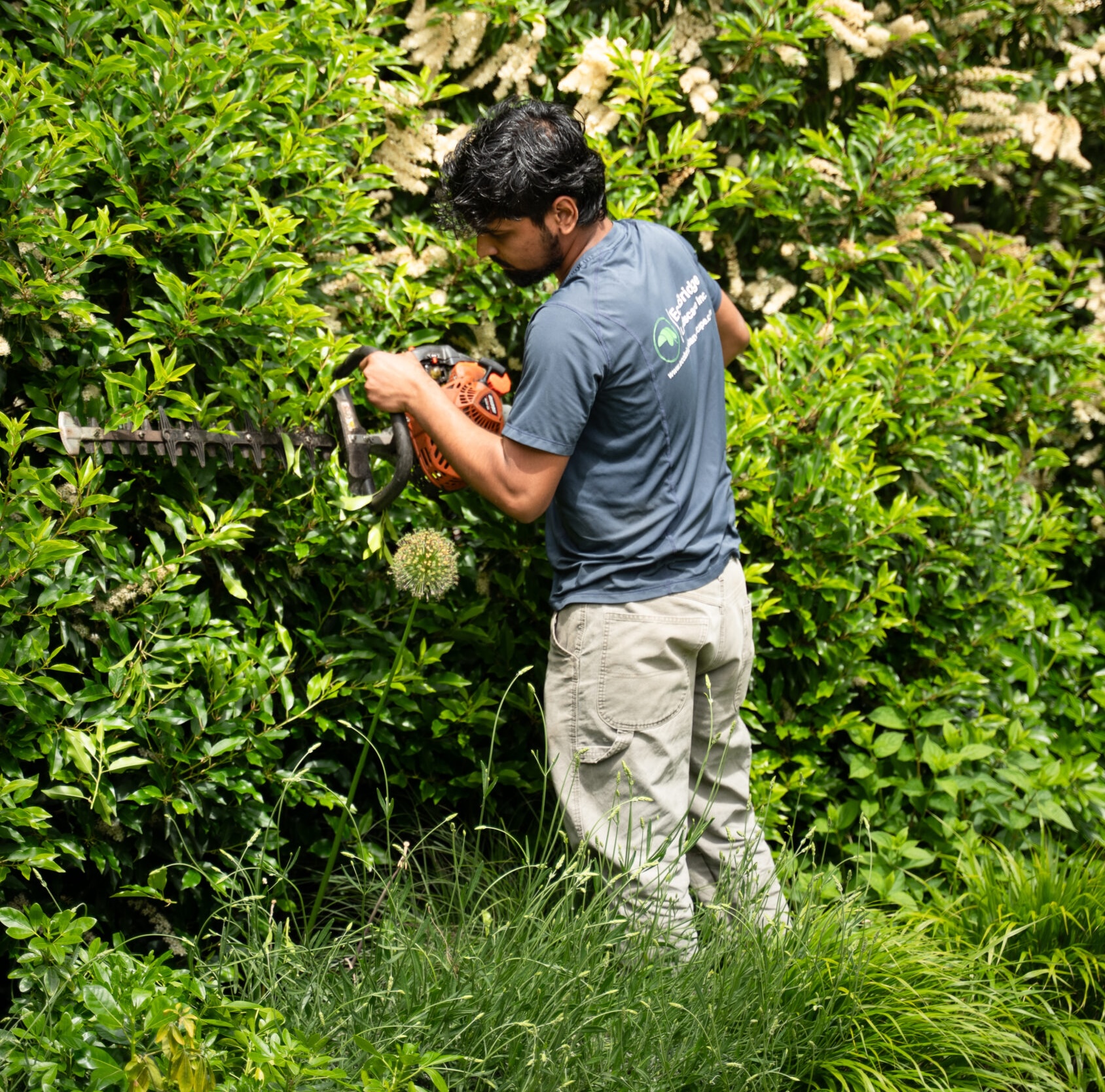 Vancouver landscapers Vancouver landscaping Vancouver landscape landscape design Vancouver landscape design Vancouver landscape maintenance