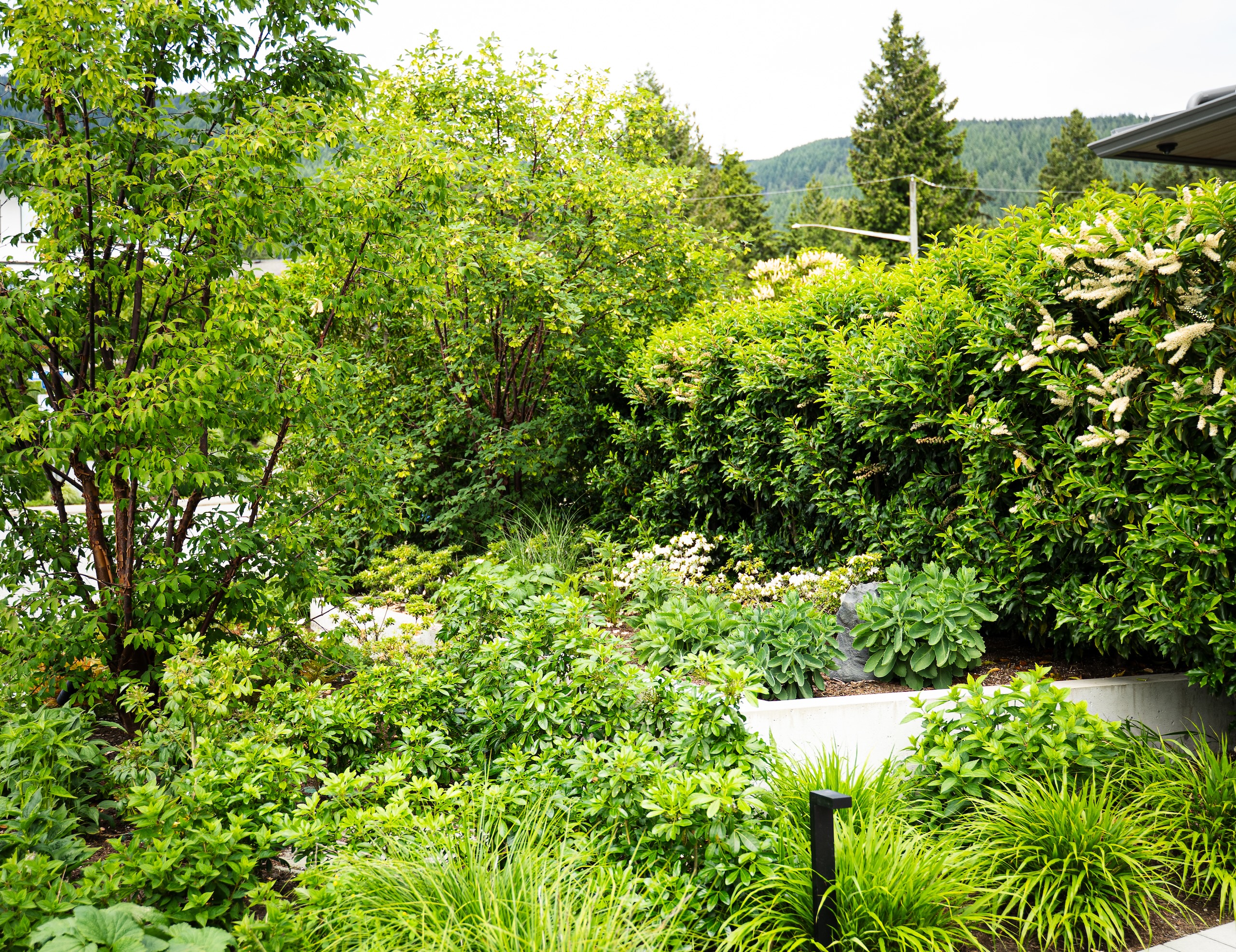landscaping Vancouver Landscapers Landscaping Service Vancouver