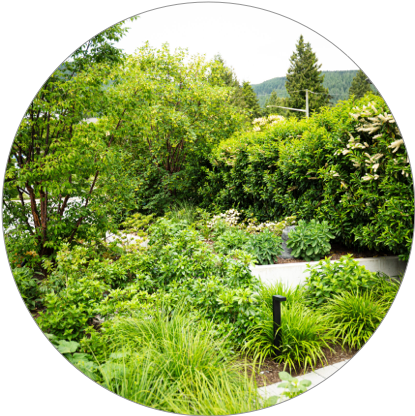 west Vancouver landscapers west Vancouver landscaping best landscaping west Vancouver